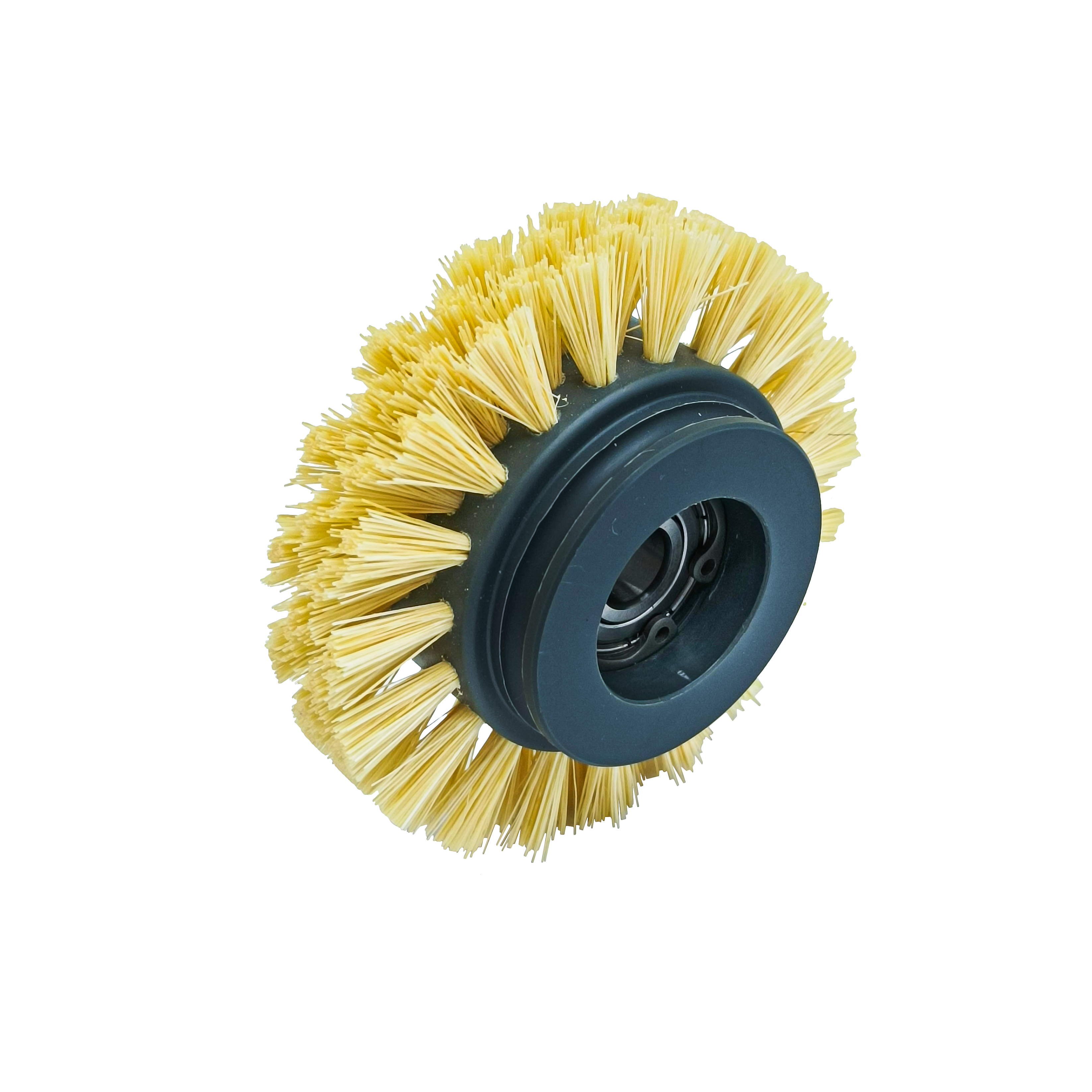 APS-ITM0037695 - BRUSH (ROTARY)
