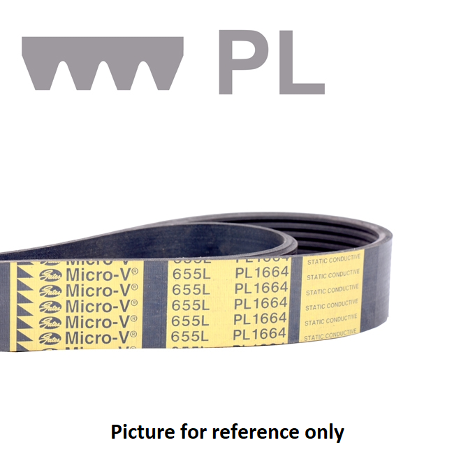 APS-ITM0093771 - POLY-V BELT