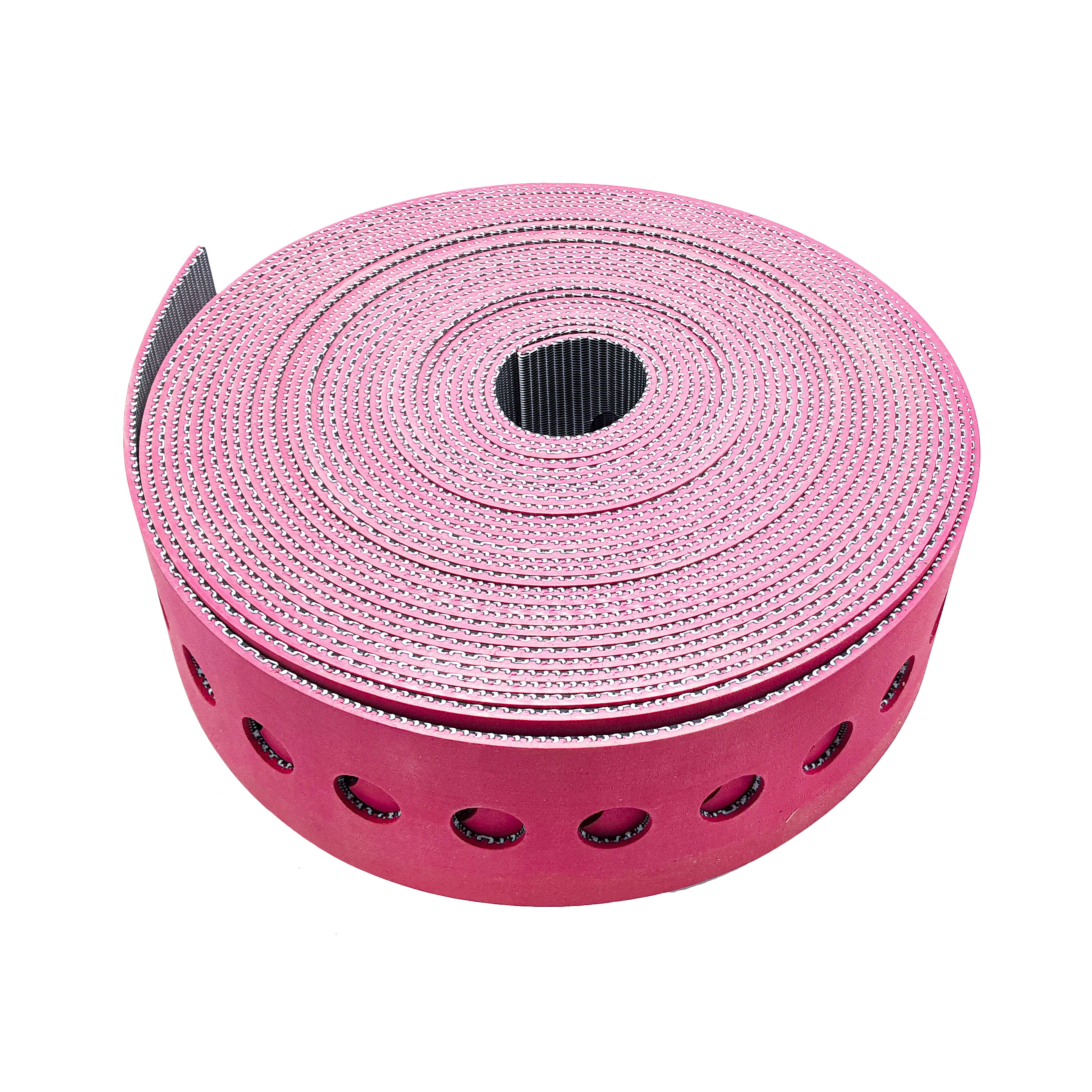 4CB69938 - TRANSPORT BELT (ZIPLINK)